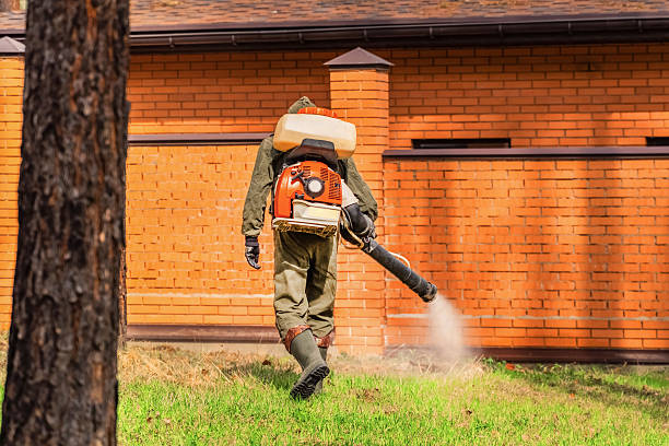 Top rated local Ant Control specialists in Summerville, GA